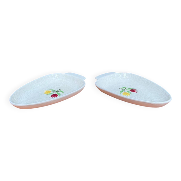 Duo de raviers Salins Crocus