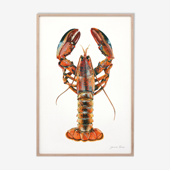"Alec", the lobster, art print 21/29.7 cm