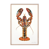 "Alec", the lobster, art print 21/29.7 cm