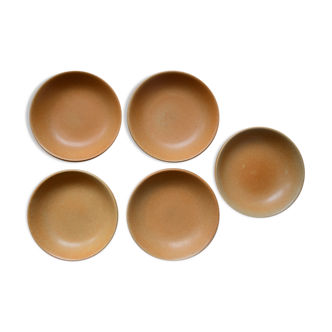 5-Pack hollow stoneware plates