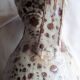 Pyrite stone pitcher Pierre Digan La Borne