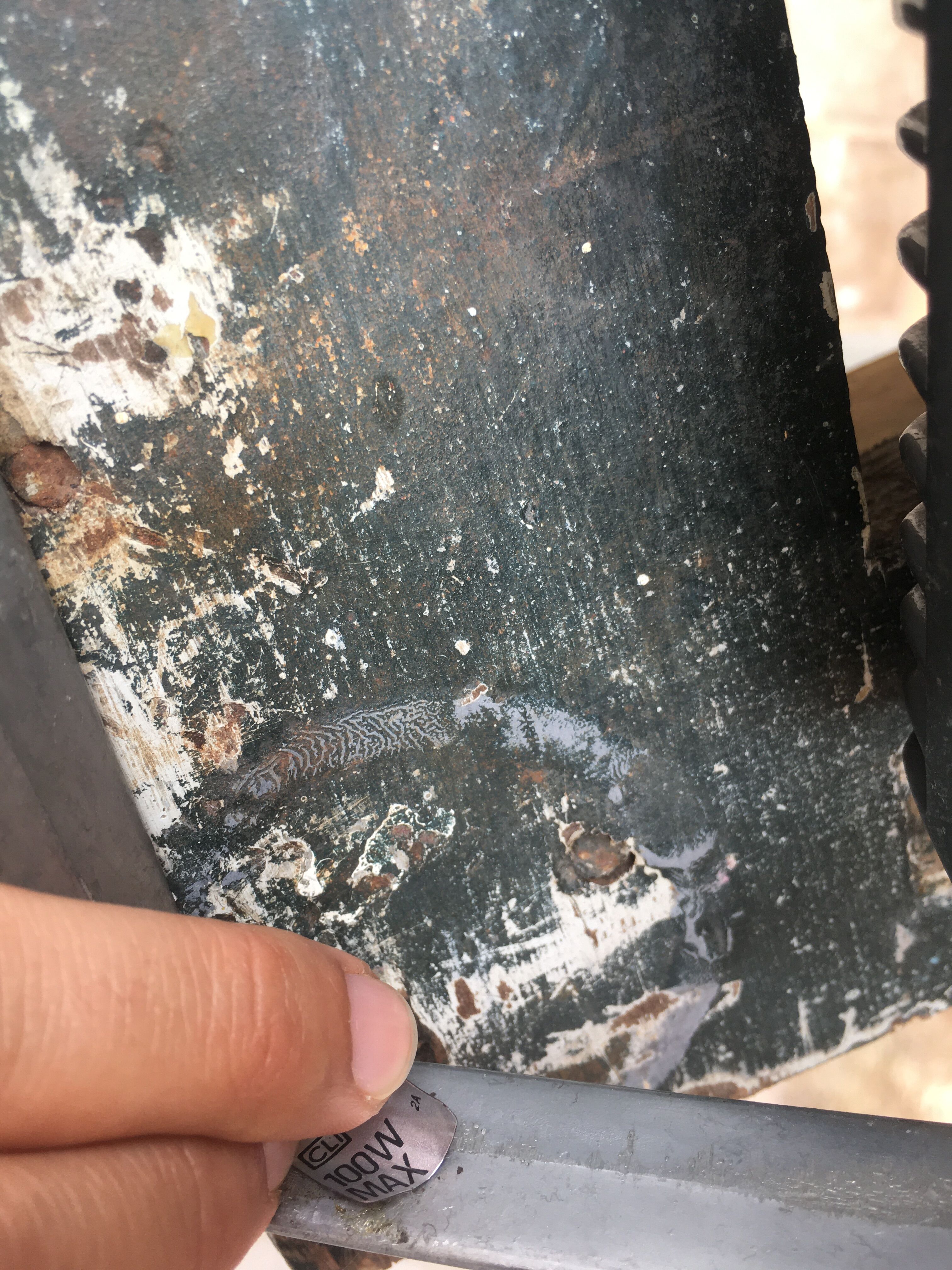 Concord Projector Lamp