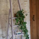Painter's stepladder