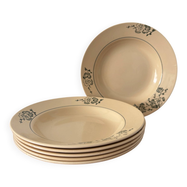 Lot de 6 assiettes creuses Saint Amand vintage fleurs vertes – Vaissel