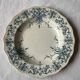 Clairefontaine Iron Earth Plates