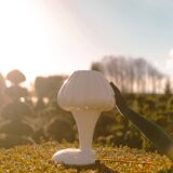 Orion Butter White Table Lamp