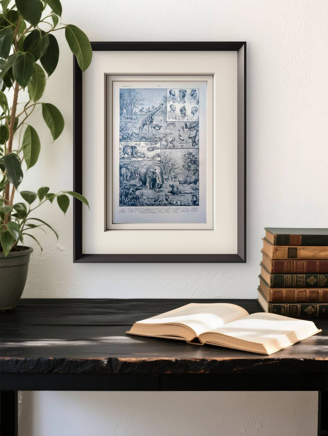 Printed in 1921, engravings of Africa.