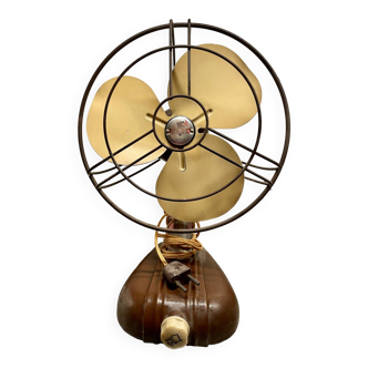 Thermor fan and radiator