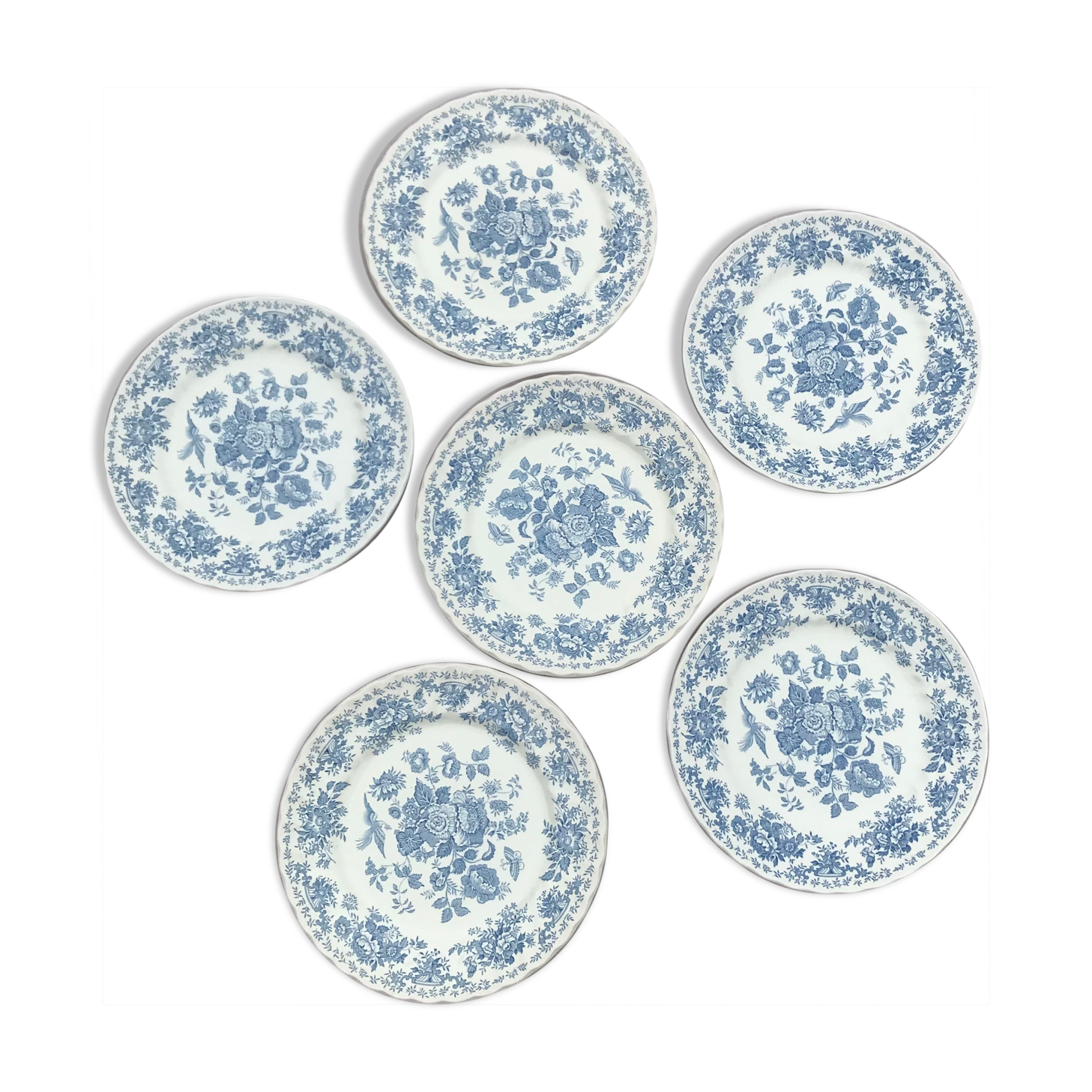 Series of 6 flat plates in English porcelain