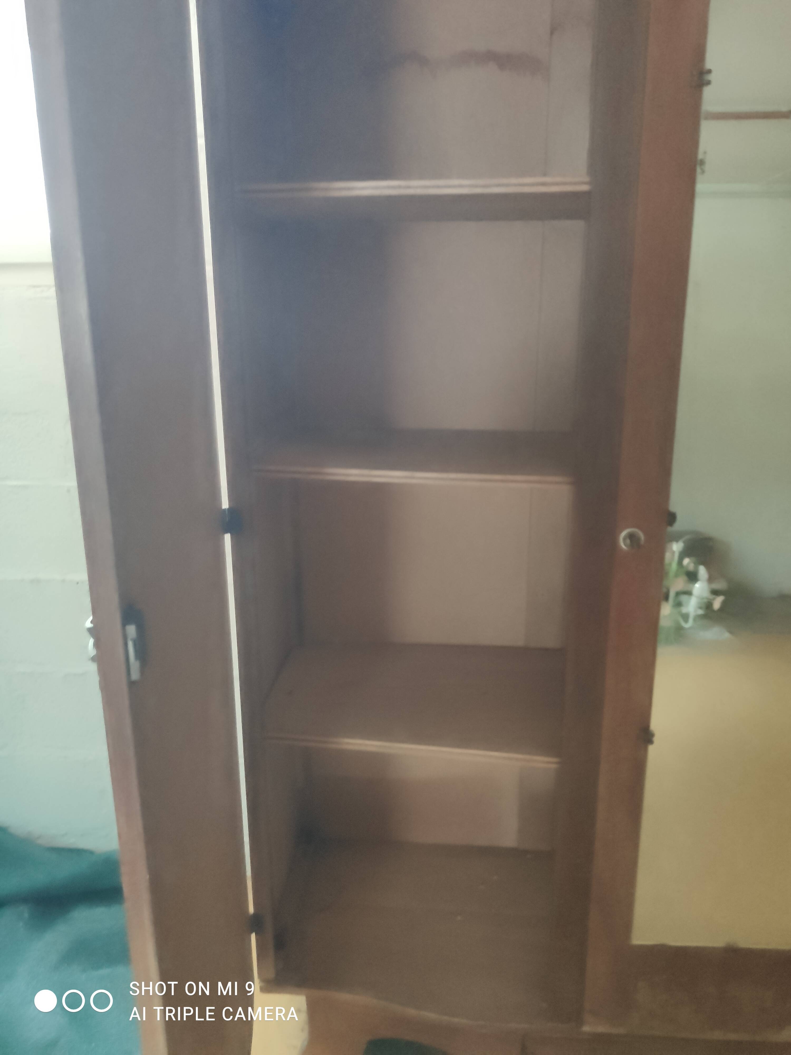 Vintage Art Deco wardrobe