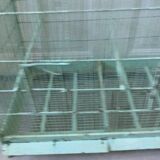 Old wooden and metal birdcage