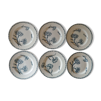 Lot 6 flat plates old iron earth K&G Lunéville Carnations