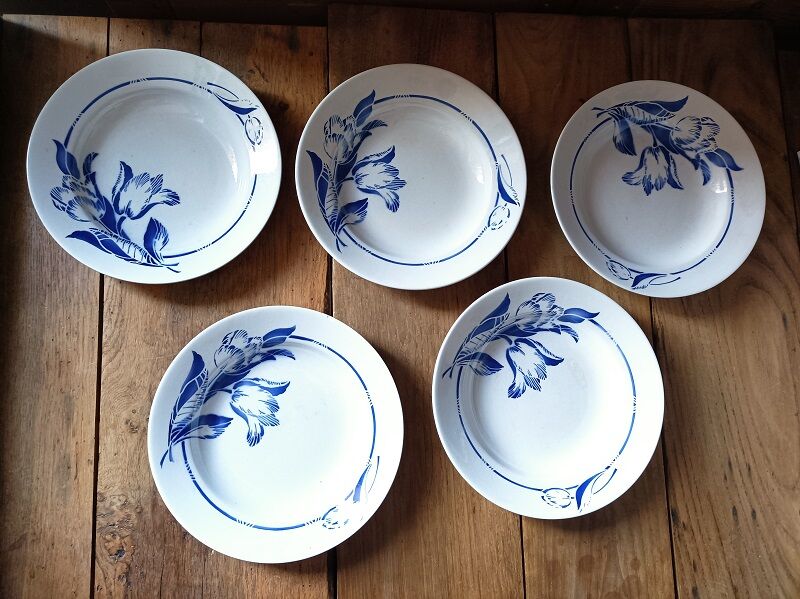 Set of 5 hollow plates St Amand in ceramic