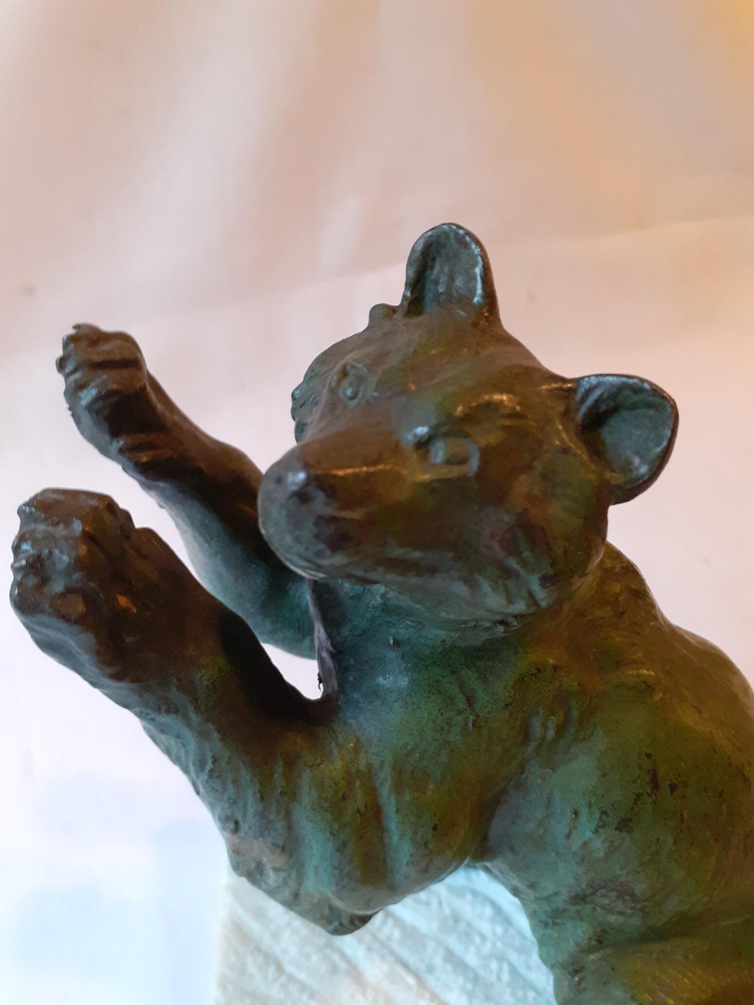 Greenhouse books bear signed