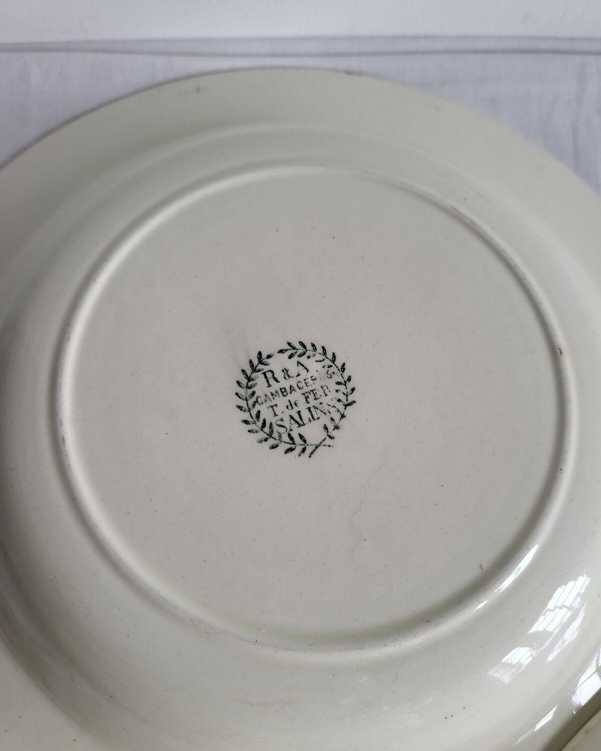 11 Deep Plates Ironstone Salins Cambacérès Decor