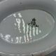 Antique porcelain soup tureen England Minton satsuma 19th century