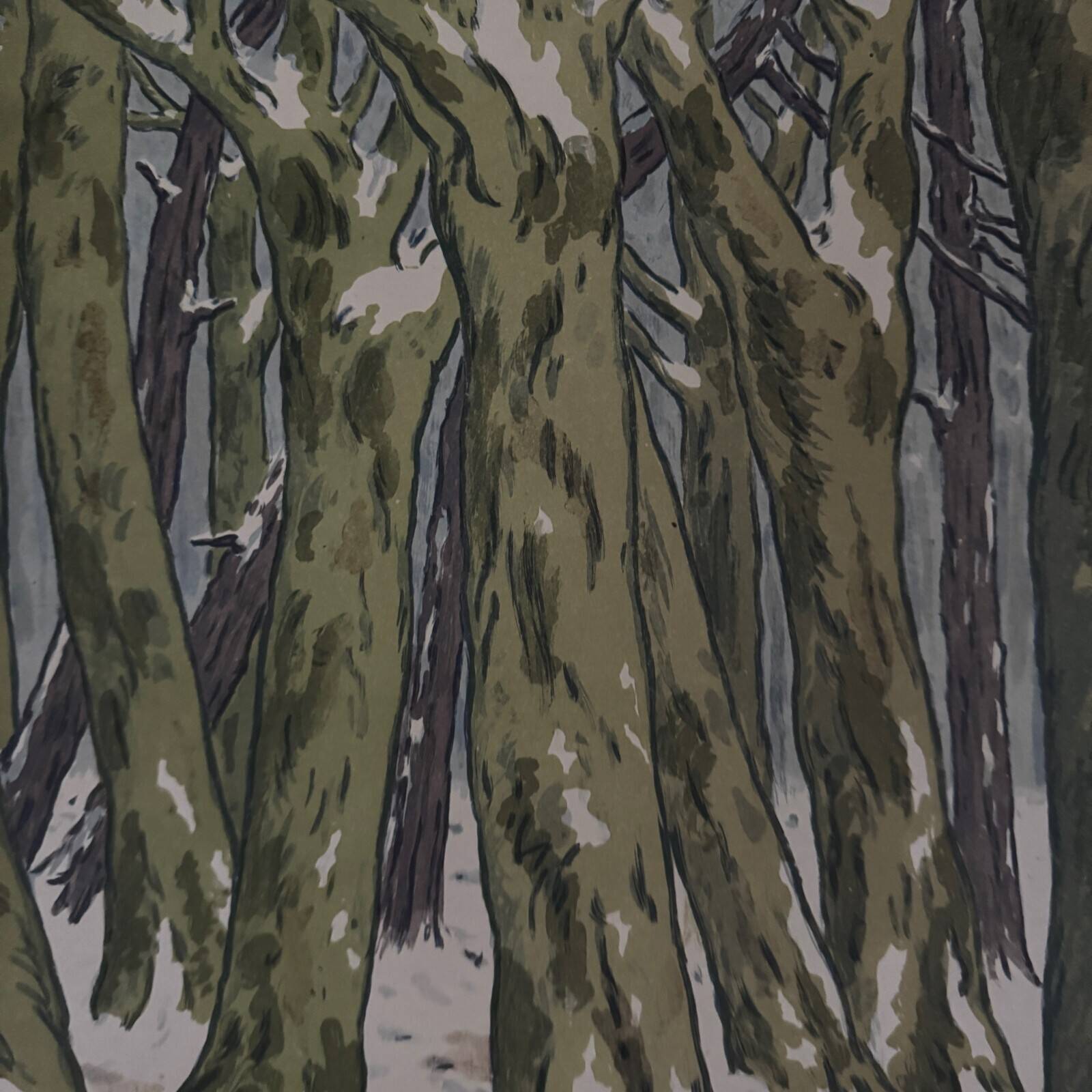 Lithograph by Henri Rivière Aspects of Nature - Winter Woods