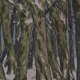 Lithograph by Henri Rivière Aspects of Nature - Winter Woods