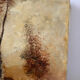 Romantic landscape with horses, oil on canvas signed R Bizet.