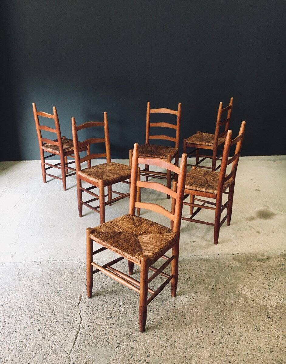 Low rustic ladder back dining chairs in oak and rush, Belgium, 1950s, set of 6.