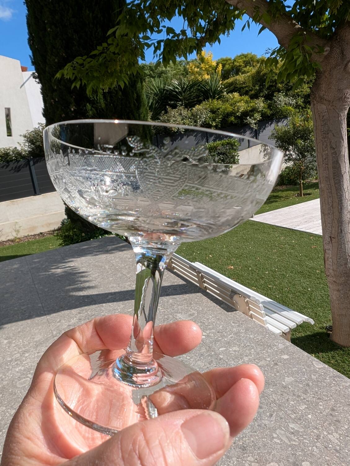 14 antique champagne glasses