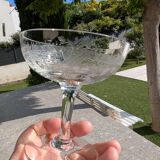 14 antique champagne glasses