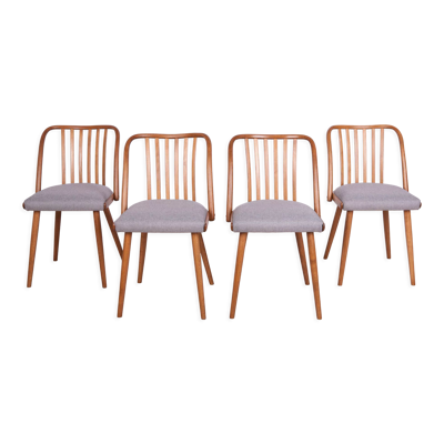 Chaises de salle à manger par Antonín Šuman pour ton, années 1960