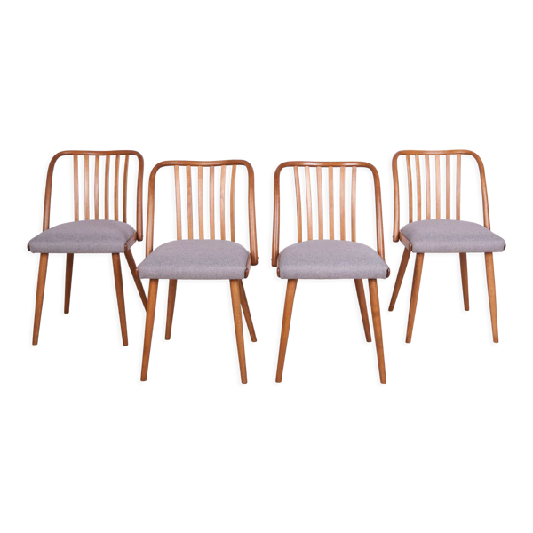 Chaises de salle à manger par Antonín Šuman pour ton, années 1960