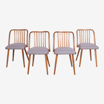 Dining Chairs by Antonín Šuman for Ton, 1960s, Set of 4