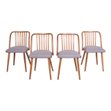 Dining Chairs by Antonín Šuman for Ton, 1960s, Set of 4