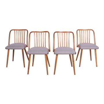 Chaises de salle à manger par Antonín Šuman pour ton, années 1960
