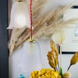 Walking lamp or suspension opaque globe shape of Art Deco flower