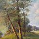 Paysage de forêt signe