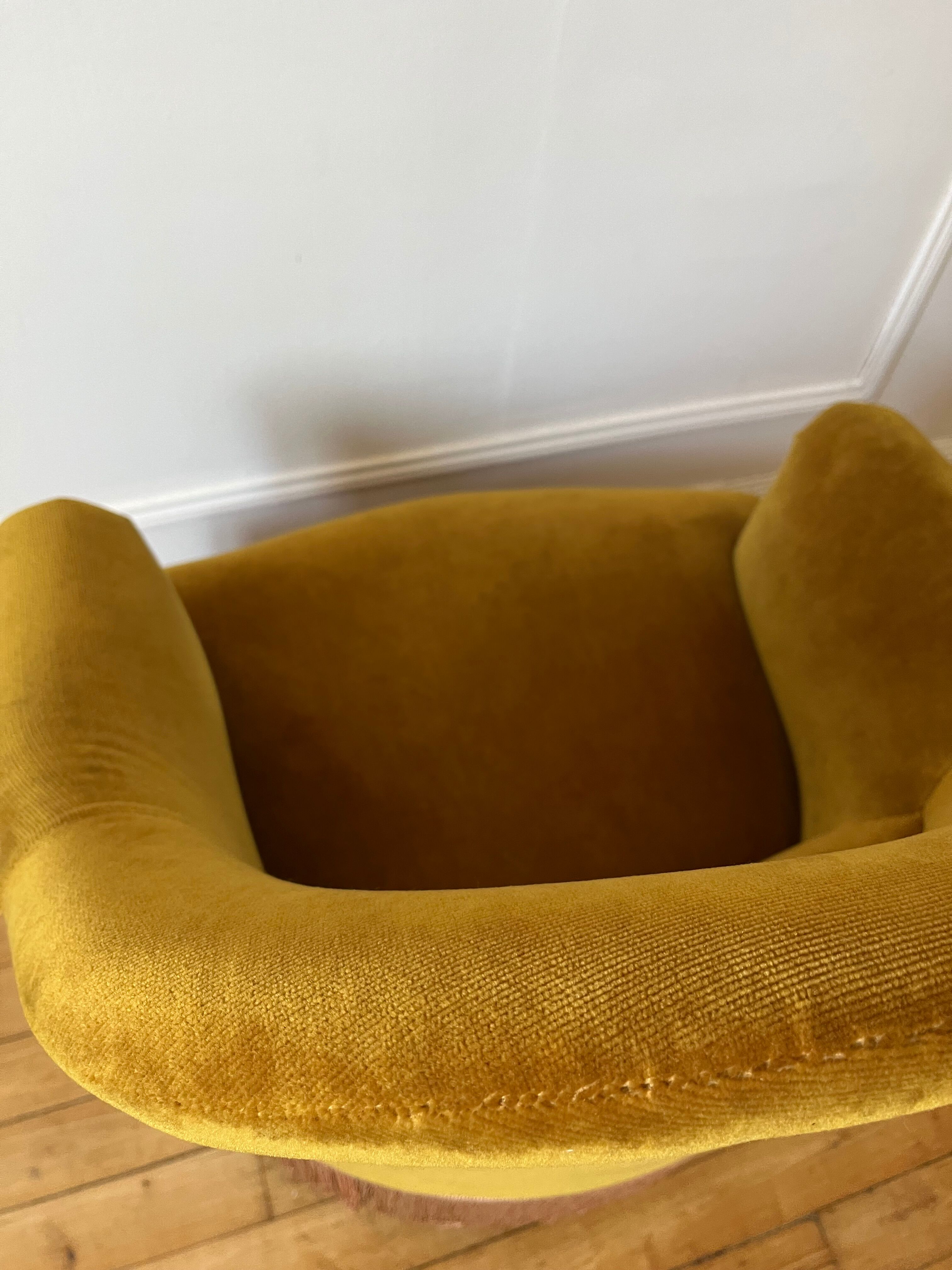 Toad armchair in gold velvet