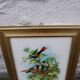 Vintage golden wooden frame illustration of exotic birds.