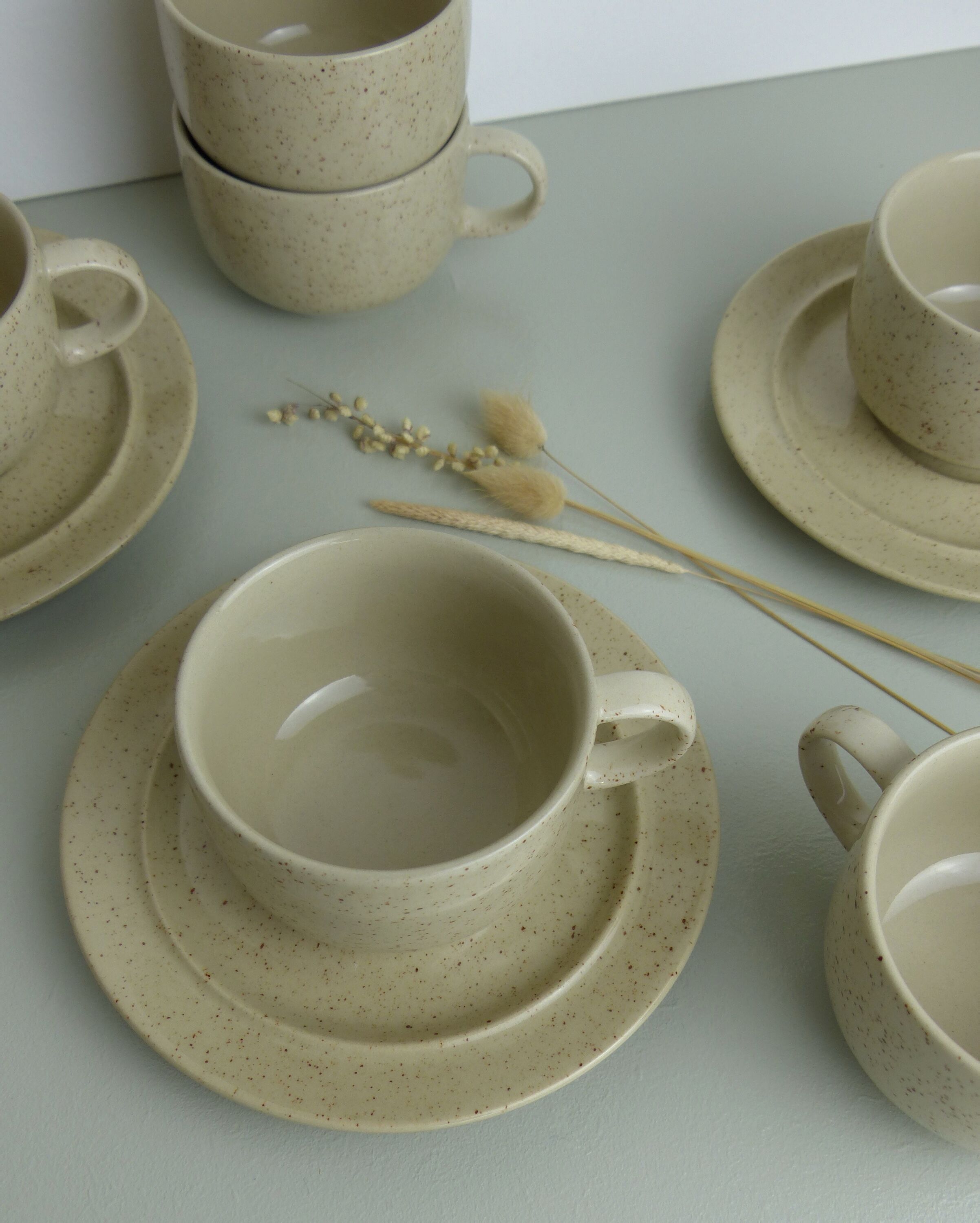 6 cups speckled sandstone