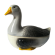 Dish in dabbling with goose