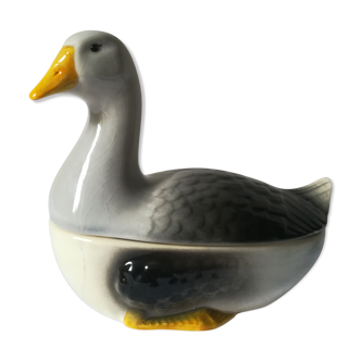 Dish in dabbling with goose