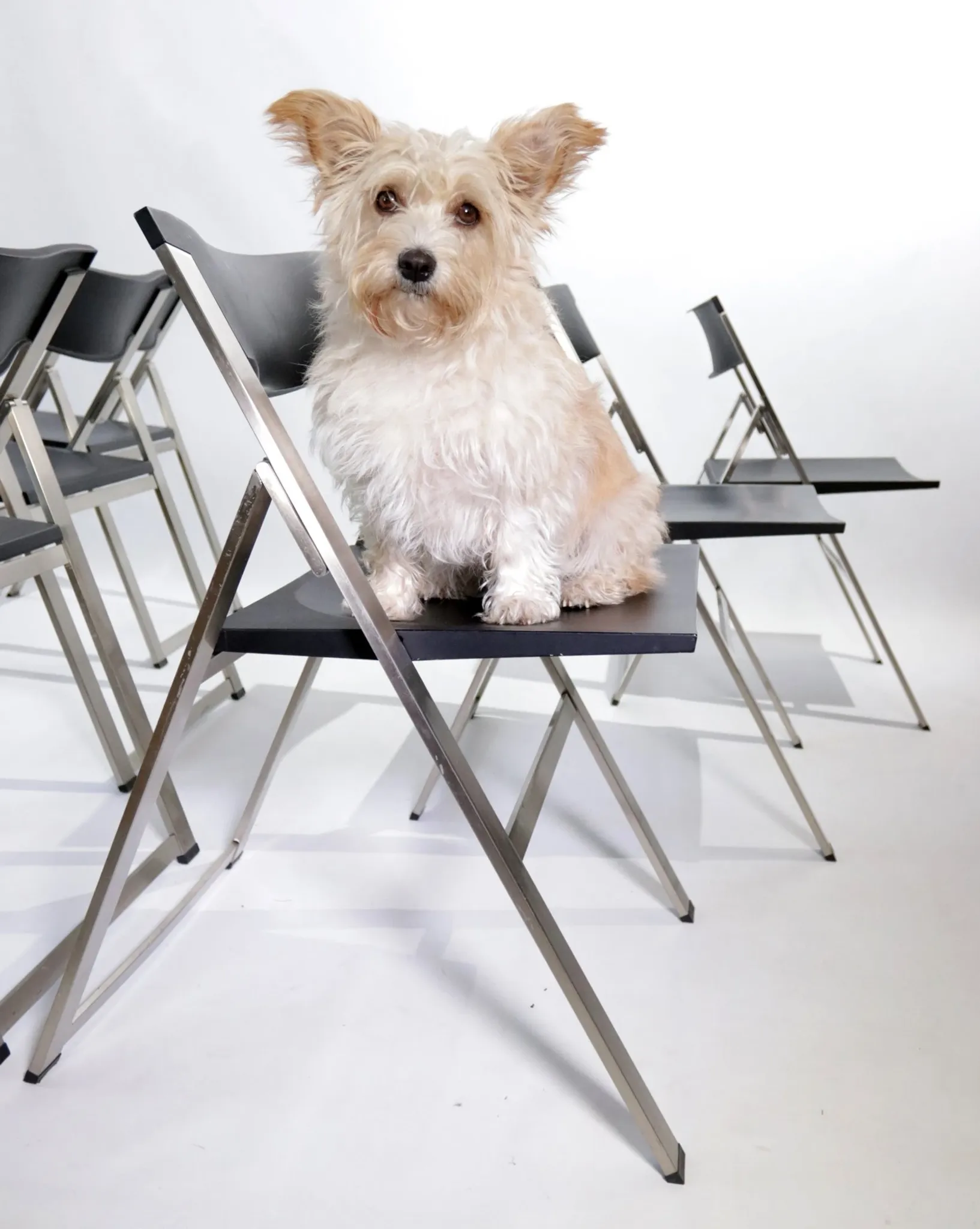 Set of six P08 folding chairs by Justus Kolberg for Tecno, Italy