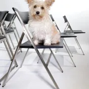 Set of six P08 folding chairs by Justus Kolberg for Tecno, Italy
