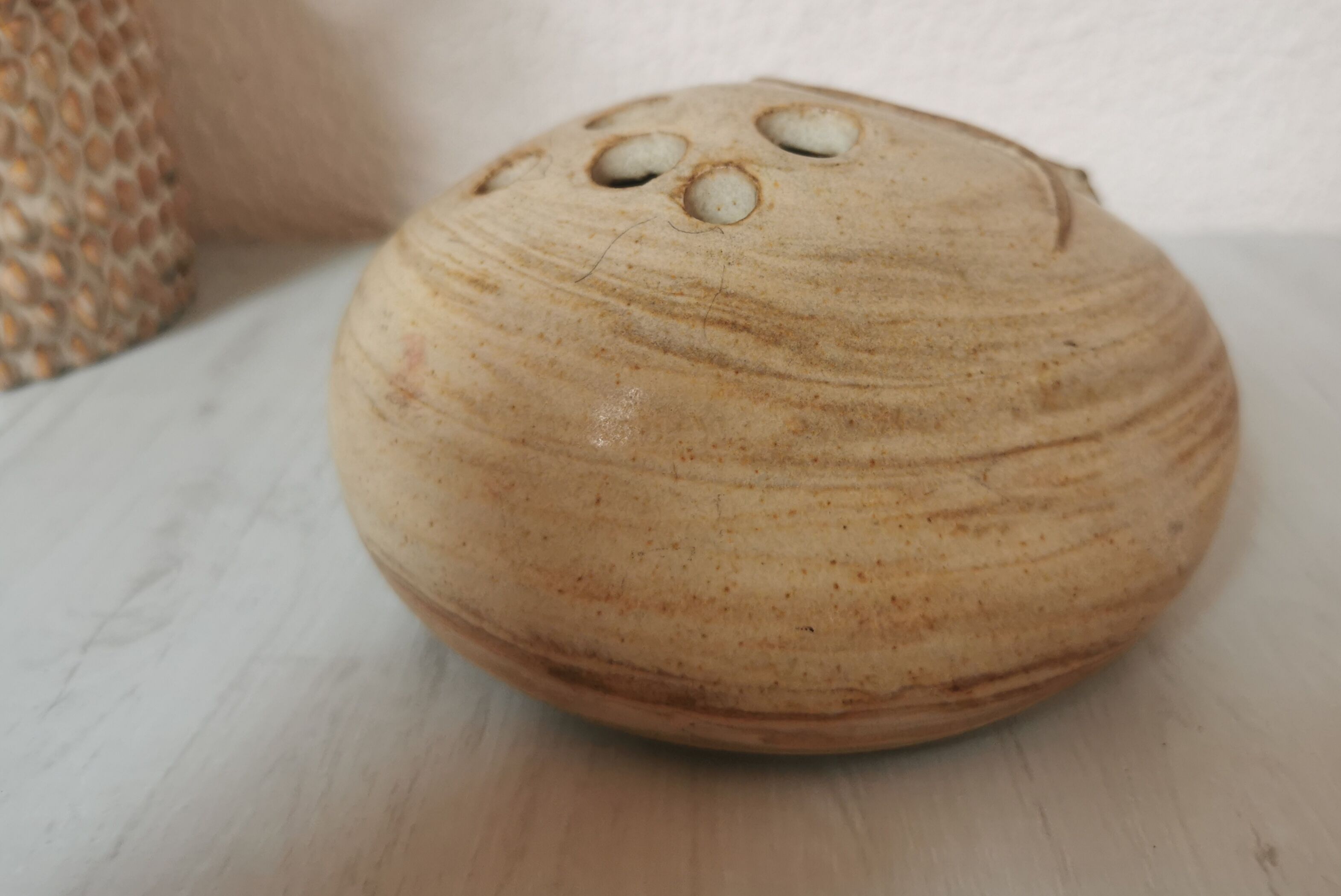 Pique flowers sandstone lizard