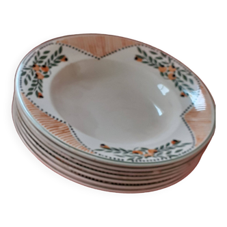 7 hollow plates. enamelled pattern. lonwy. model antibes.