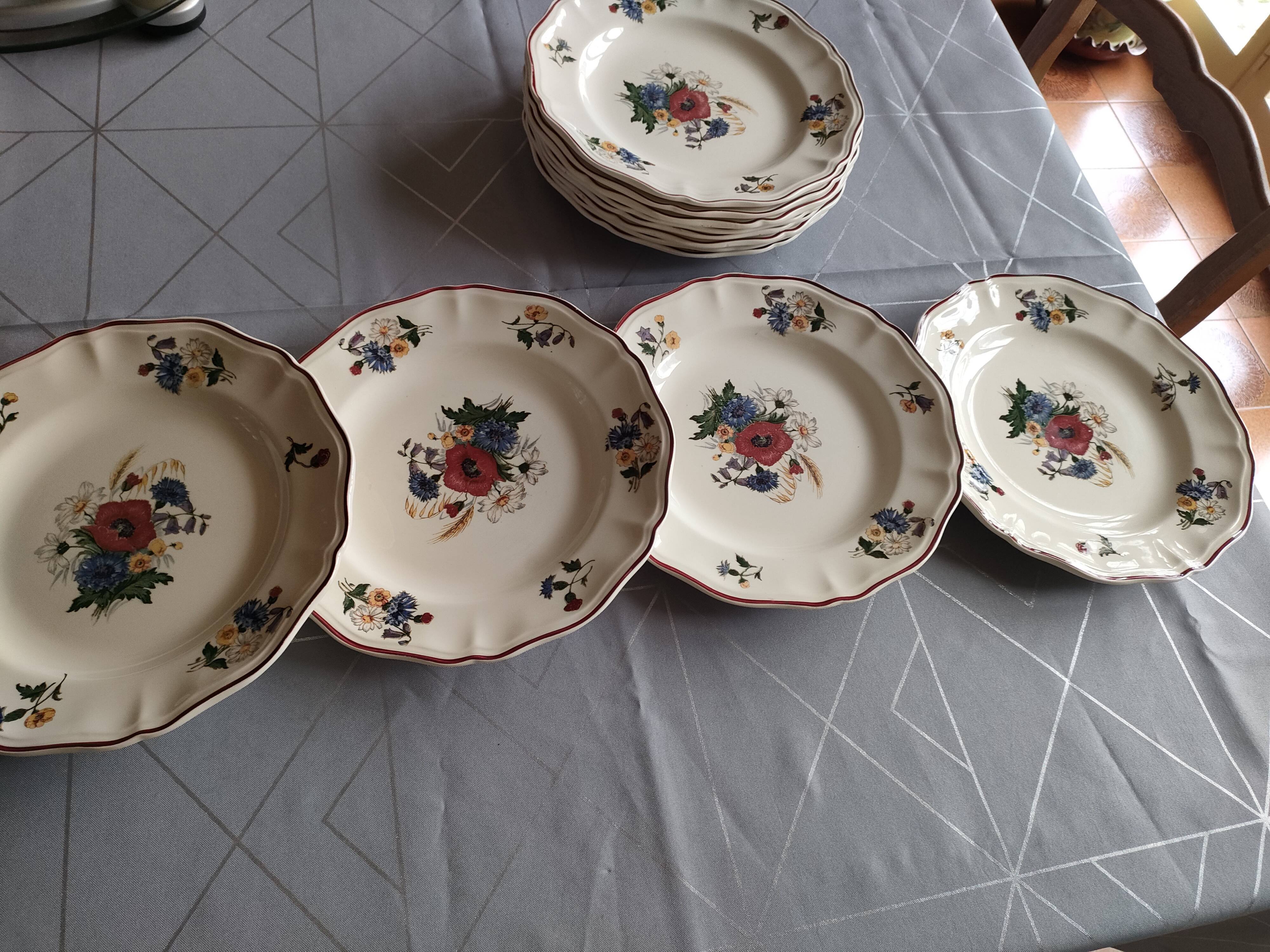 Flat plates sarguemines agreste