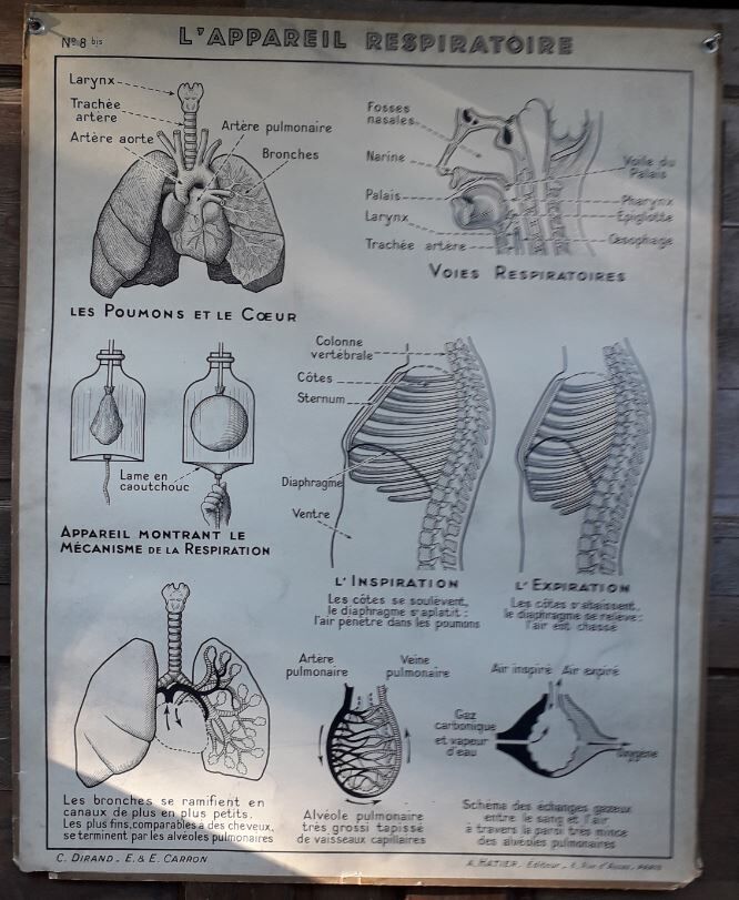 School poster science