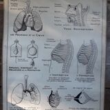 School poster science