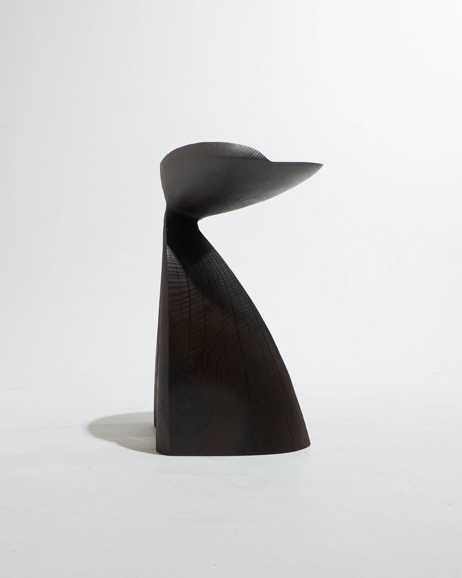Guéridon Agalychmis en bois noir