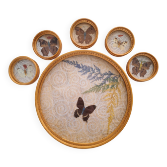 Vintage Butterfly Tray and Coasters