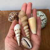 80s Seashell Set