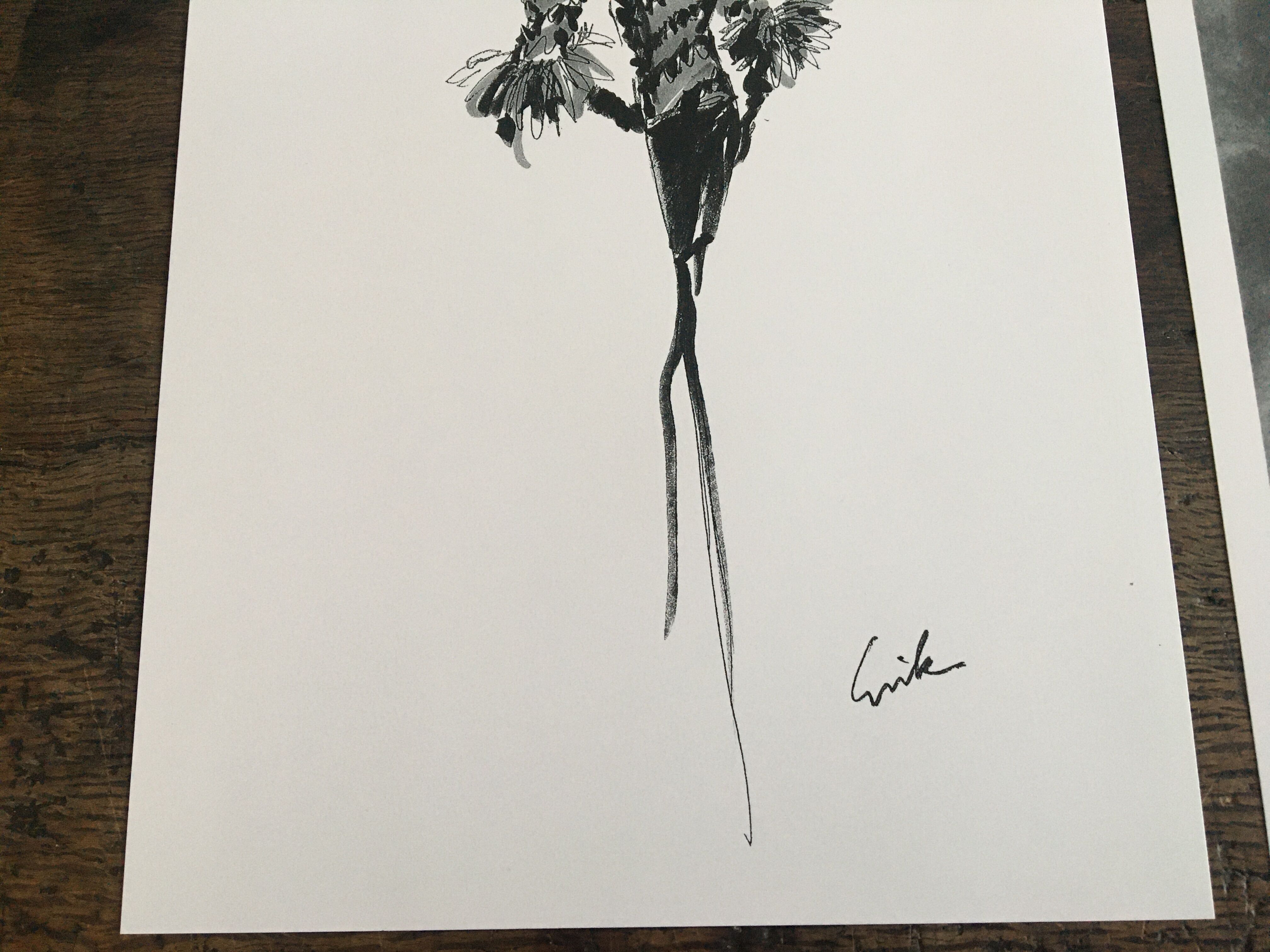 Illustration and press fashion photography "Pierre Balmain"