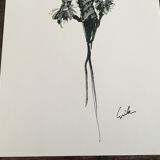 Illustration and press fashion photography "Pierre Balmain"